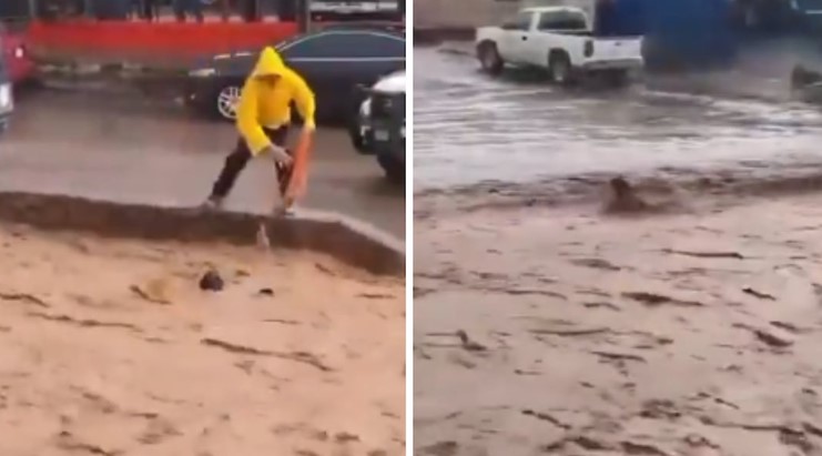 Heroico rescate en Sonora: joven salva a un perrito arrastrado por la corriente: VIDEO