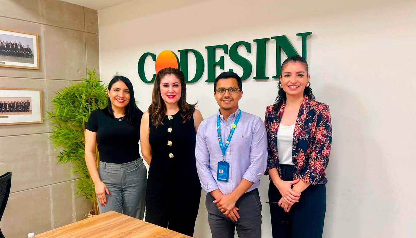 Reunión Codesin y PNUD