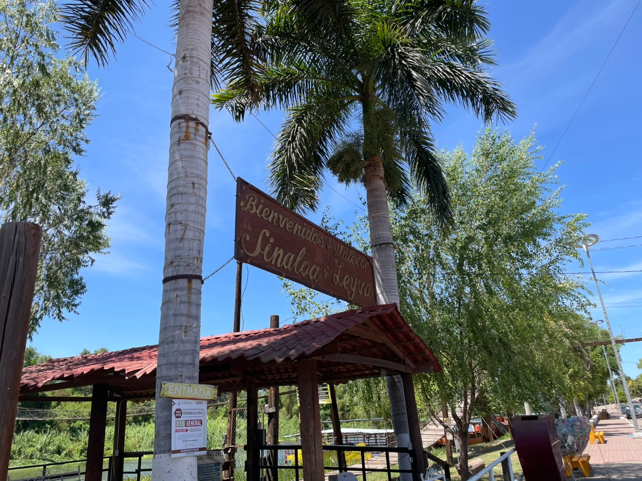 Palmeras con un letrero