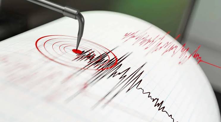 Se registra sismo de magnitud 4.0 en Michoacán: epicentro y profundidad