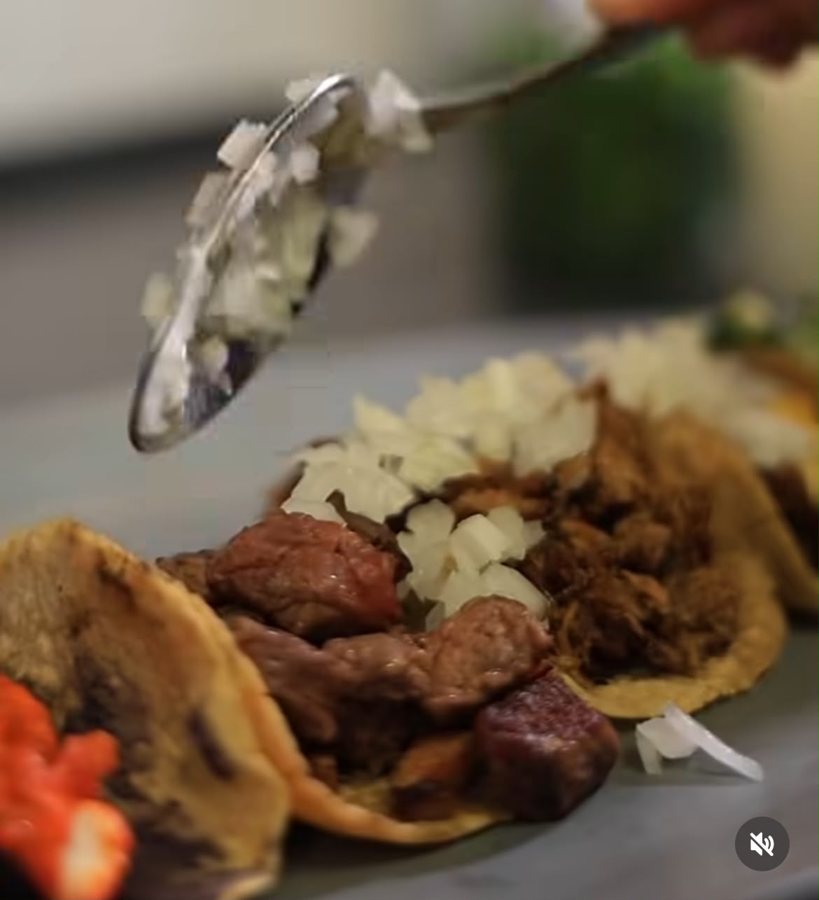 Taco