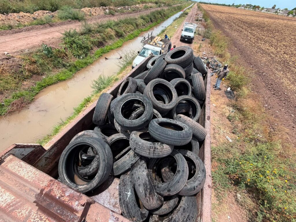 Trabajos de recolección de llantas en Los Mochis