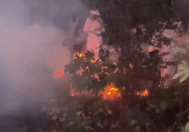 Elementos de Protección Civil acudieron al sitio para controlar la situación y evitar que más personas fueran atacadas.