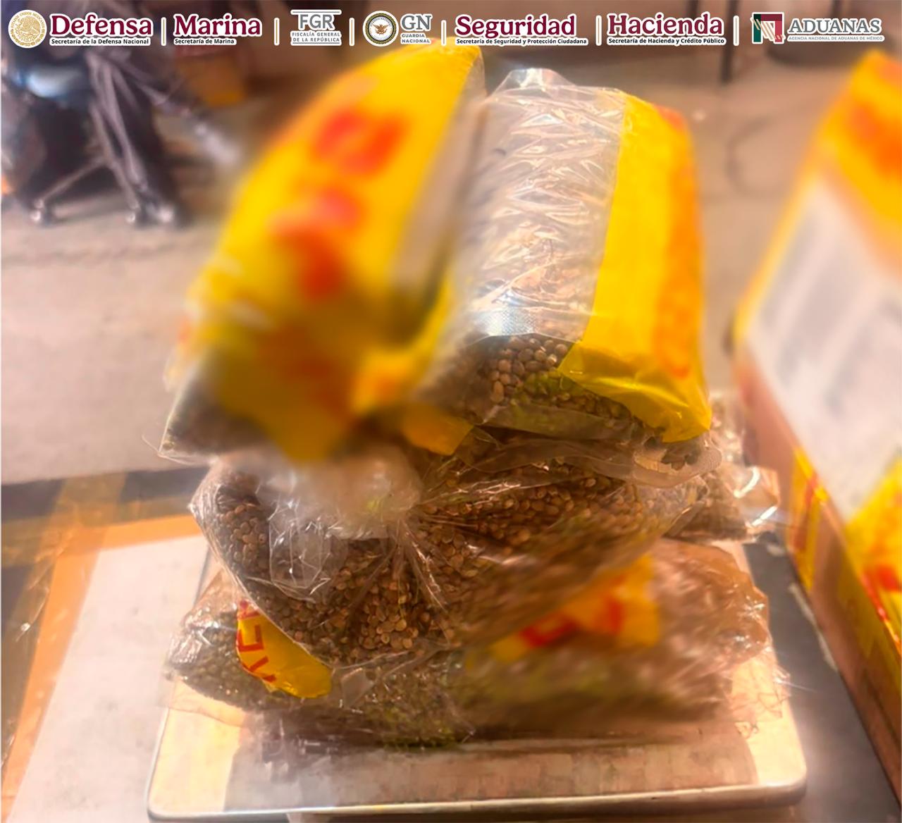 Asegura más de 2.5 kilos de semillas de cannabis en la Aduana de Guadalajara