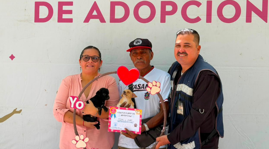 Adopción de mascotas del programa Huellitas del Bienestar
