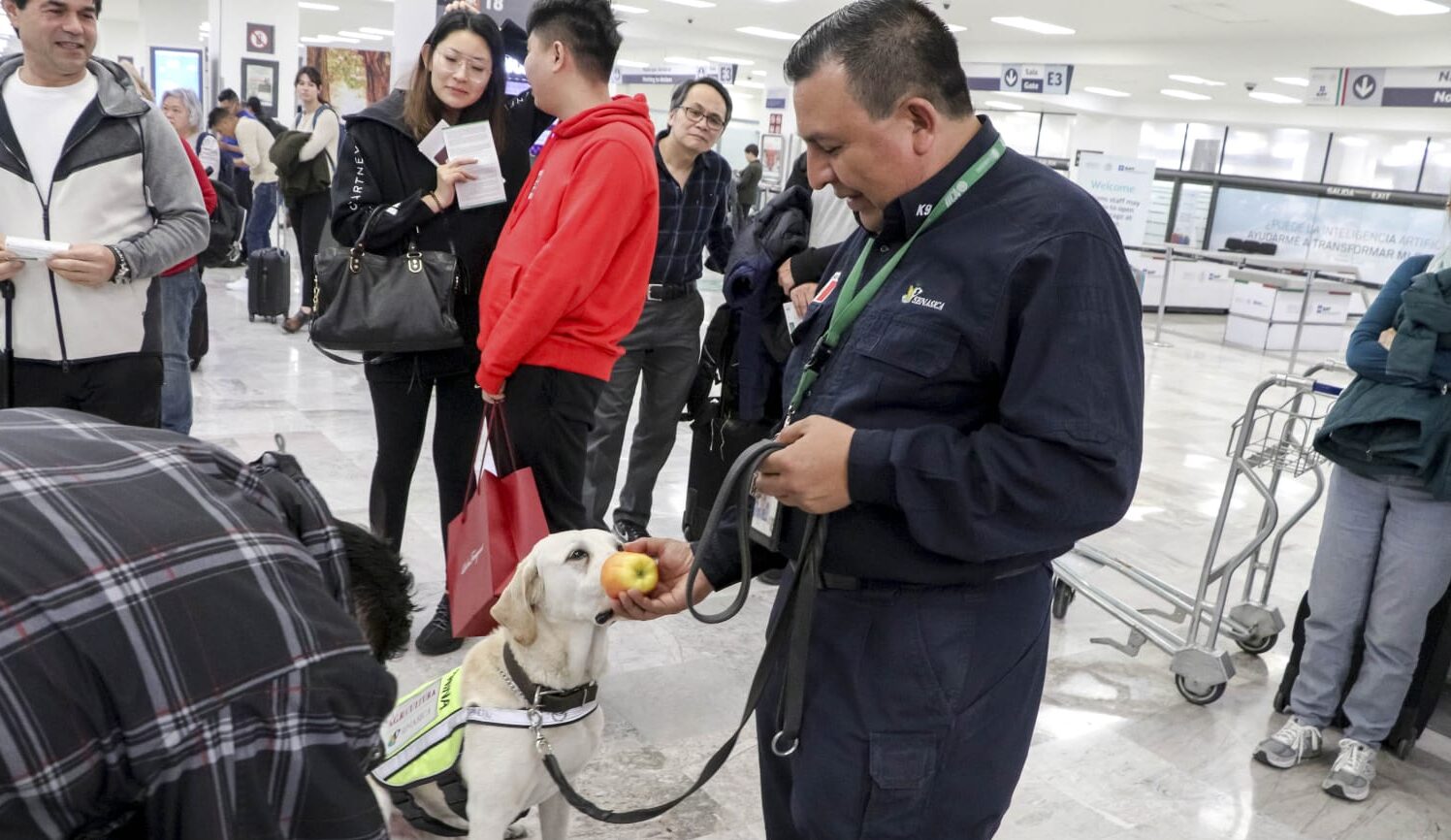 agroalimentaria verificacion