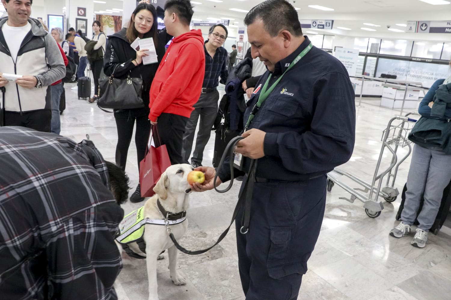 agroalimentaria verificacion
