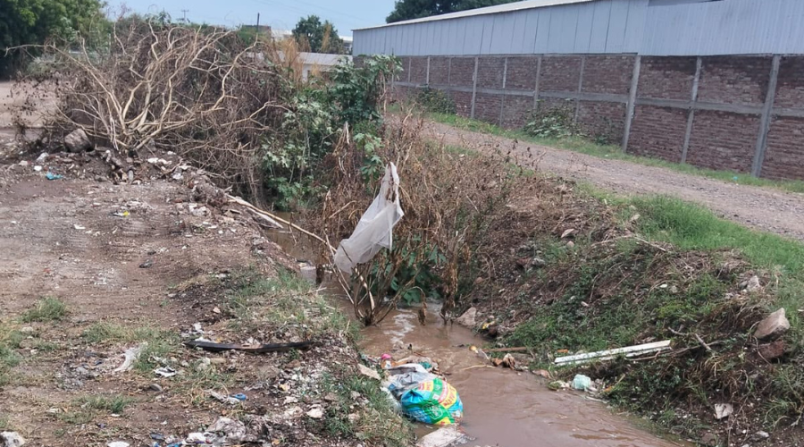 Acumulación de basura en canal de Guasave