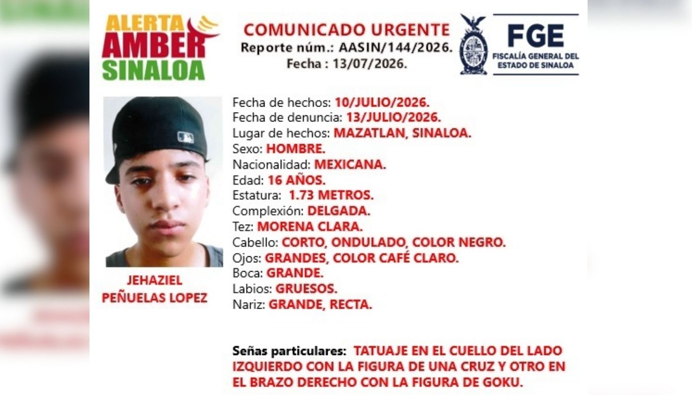Ficha de búsqueda de alerta amber