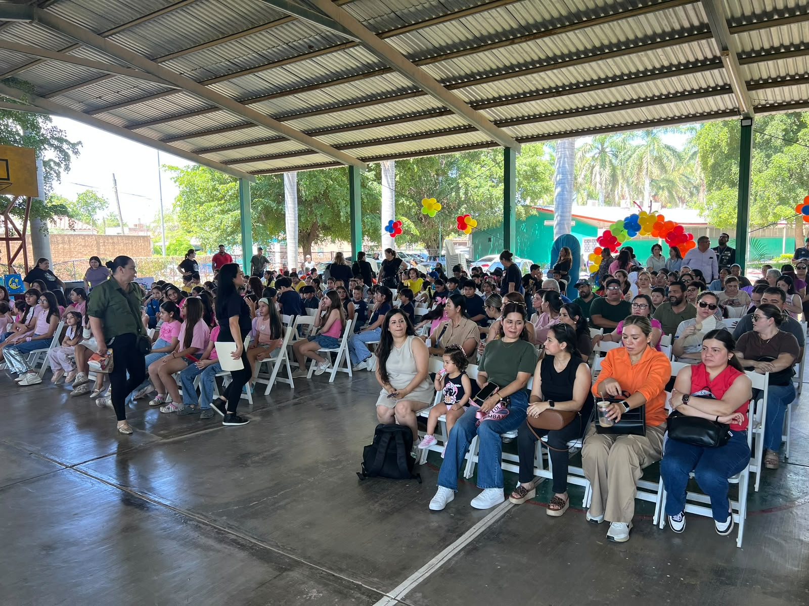 cursos de verano