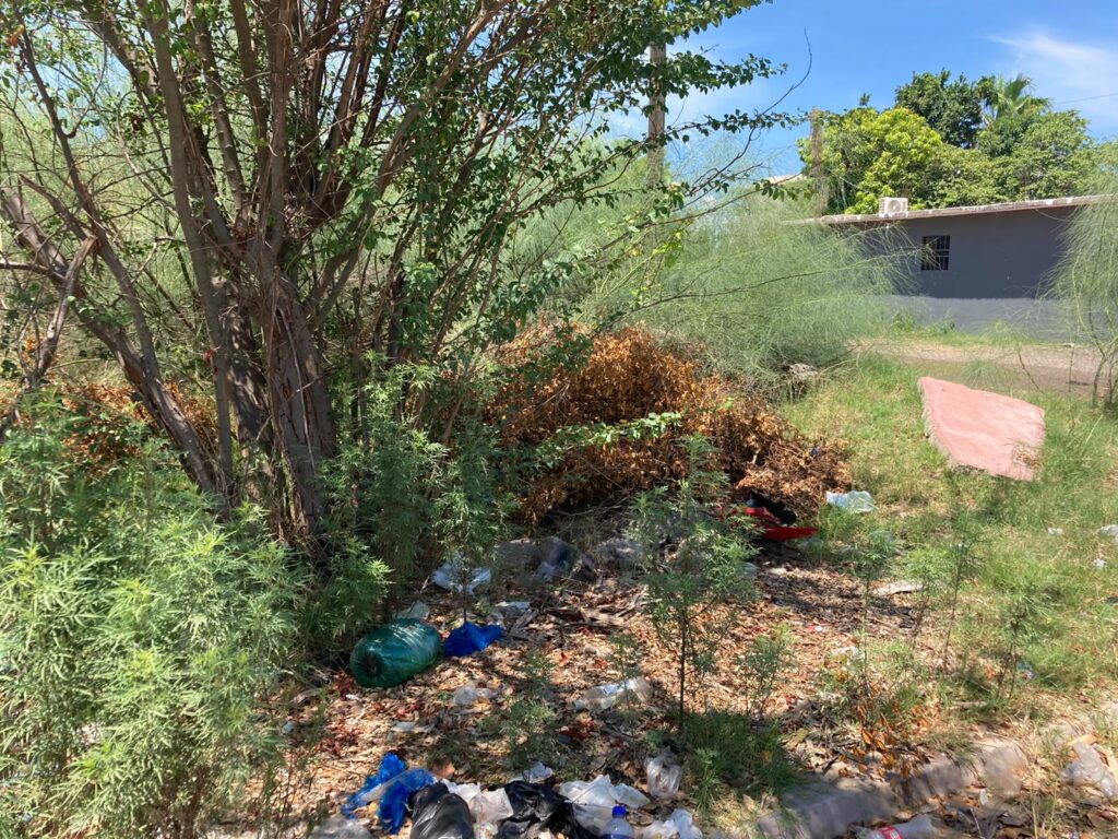 Campo baldío con basura
