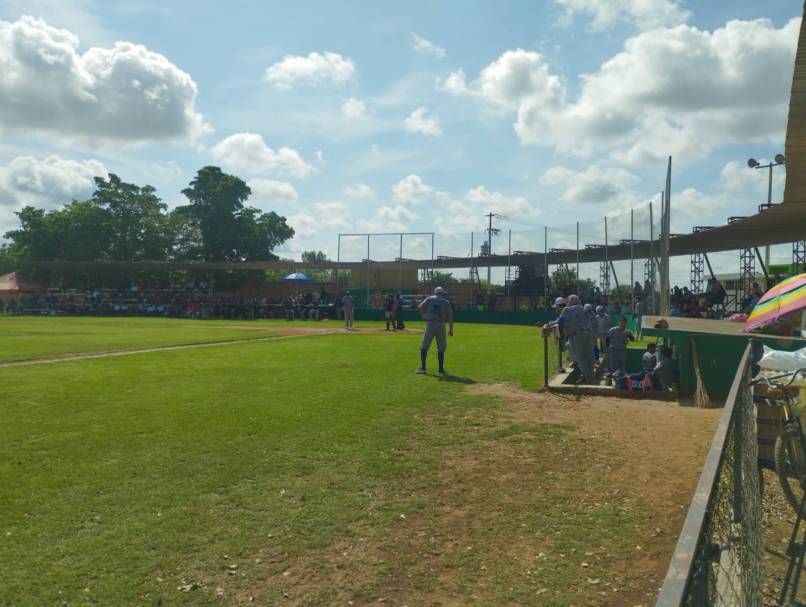 final de beisbol