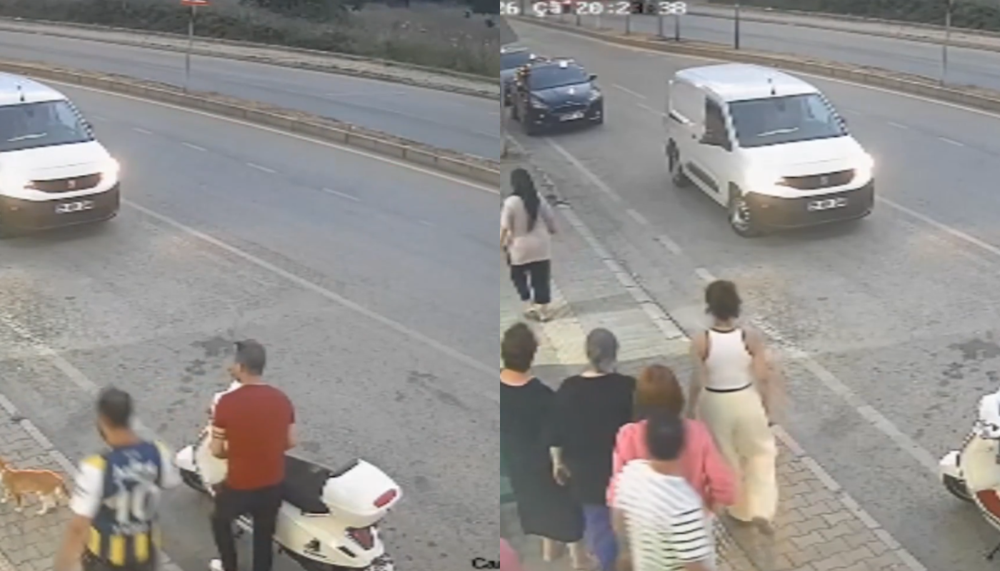 Hombre patea a gato y es detenido.