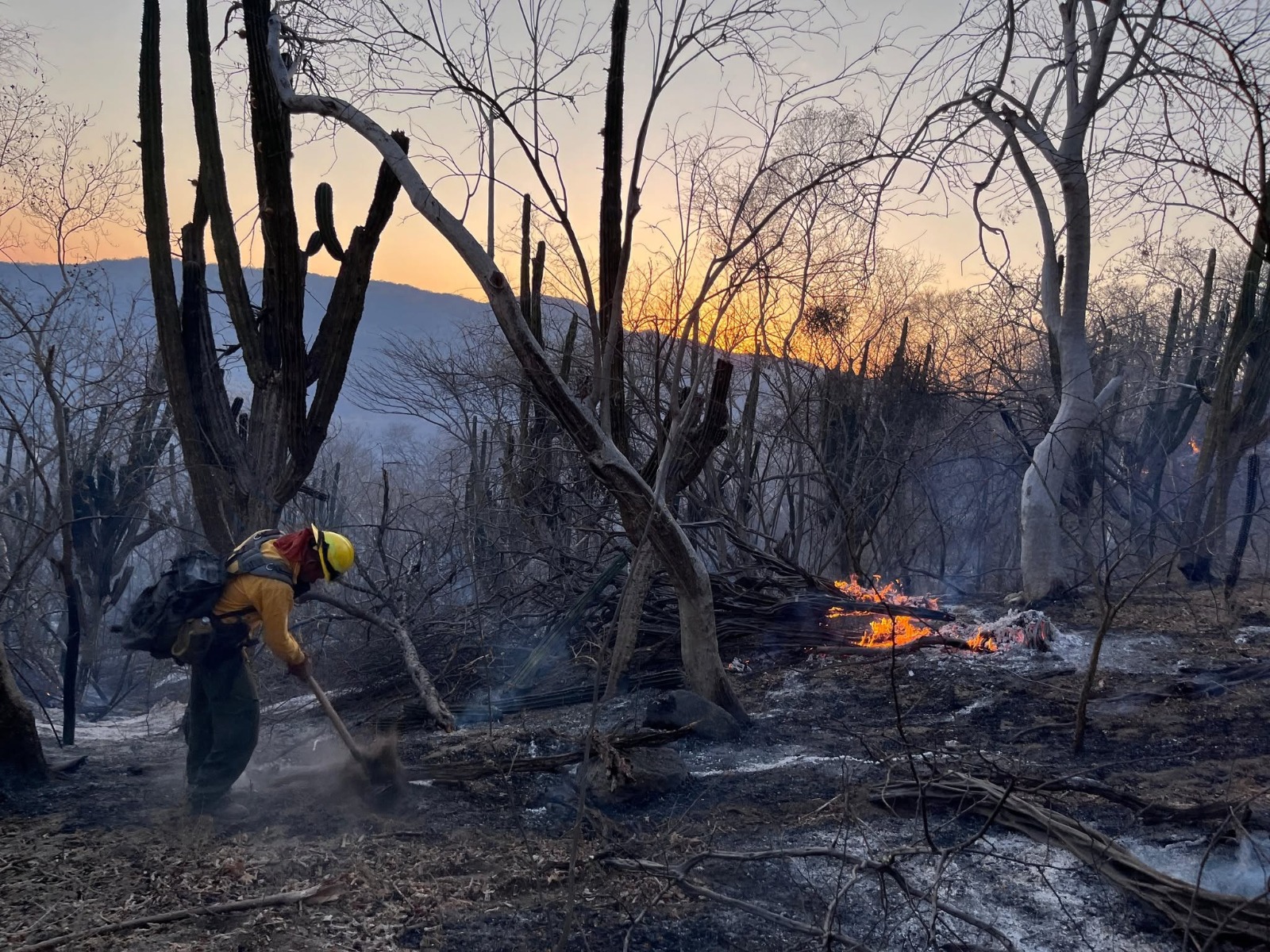 Bombero en una zona de bosque incendiada y un atardecer al fondo