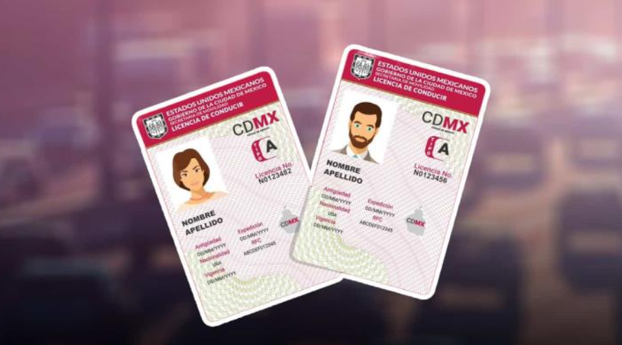 Licencia permanente.