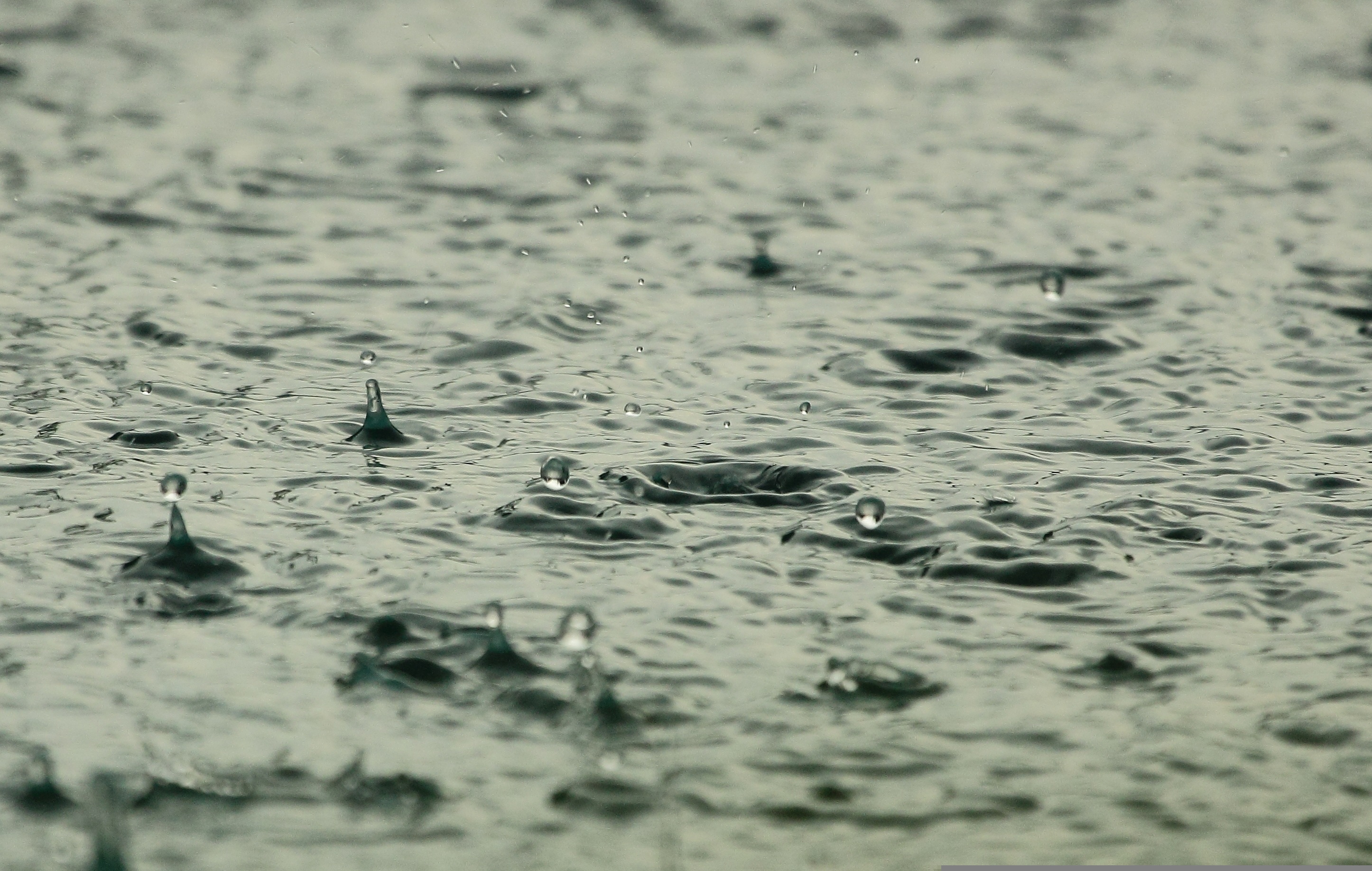 Charco de agua por lluvia