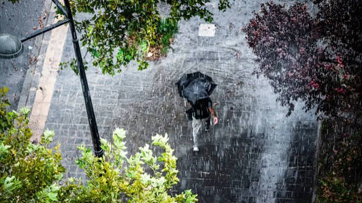 persona caminando con un paraguas bajo árboles en una banqueta mojada por las lluvias