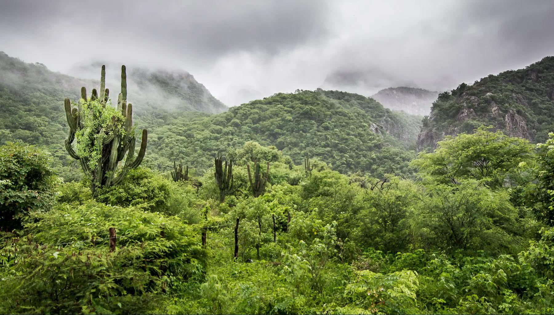 Paisaje de montañas en la sierra con cielo nublado