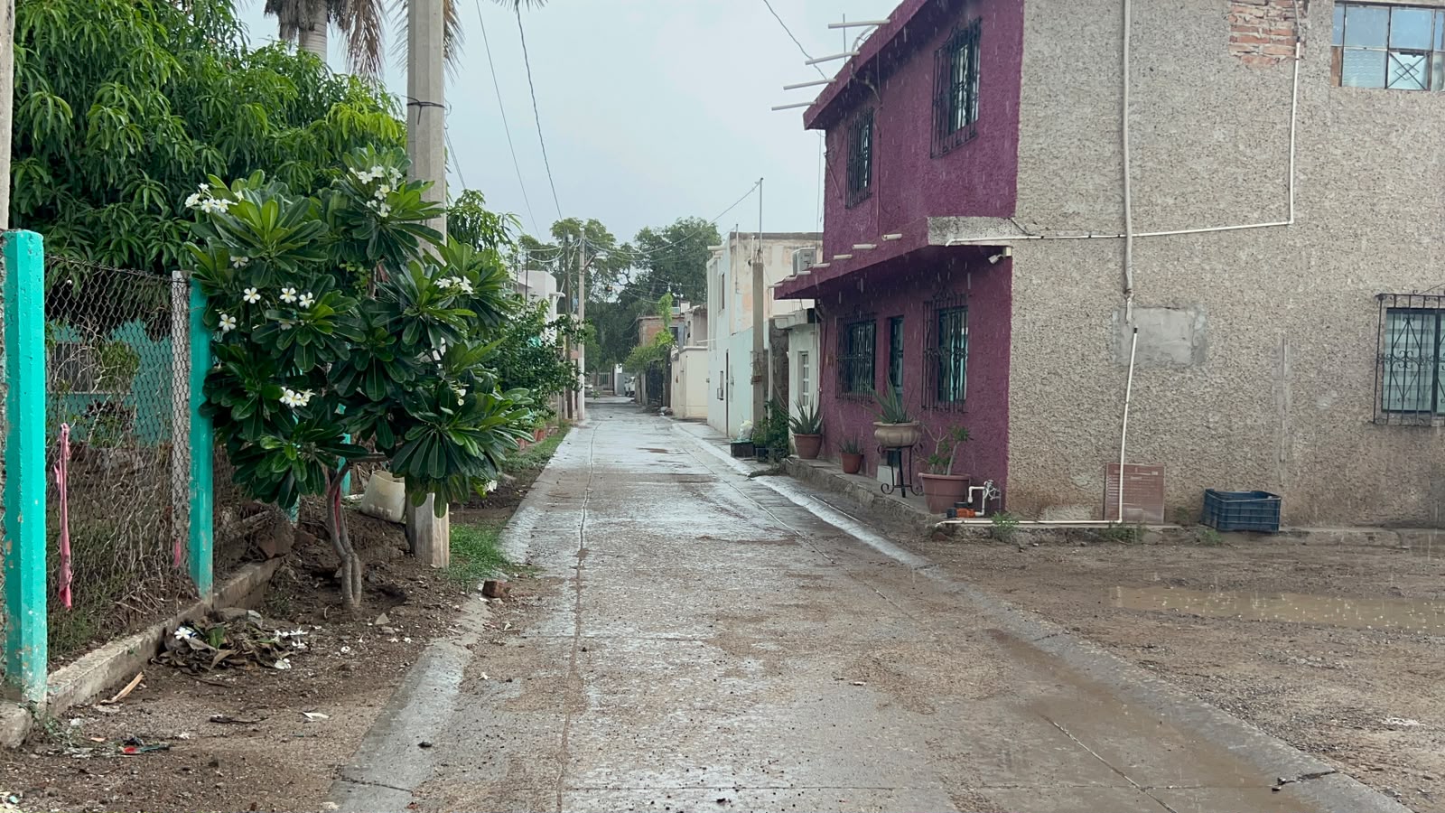 lluvia guasave