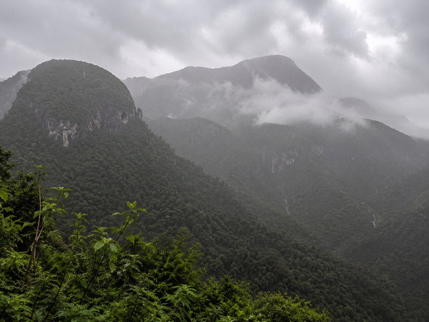 Paisaje de montañas con nubes grises y flora