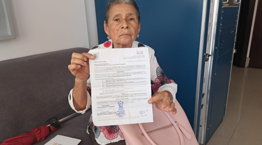Doña Juana pide ayuda al gobierno de Ahome para podar un árbol