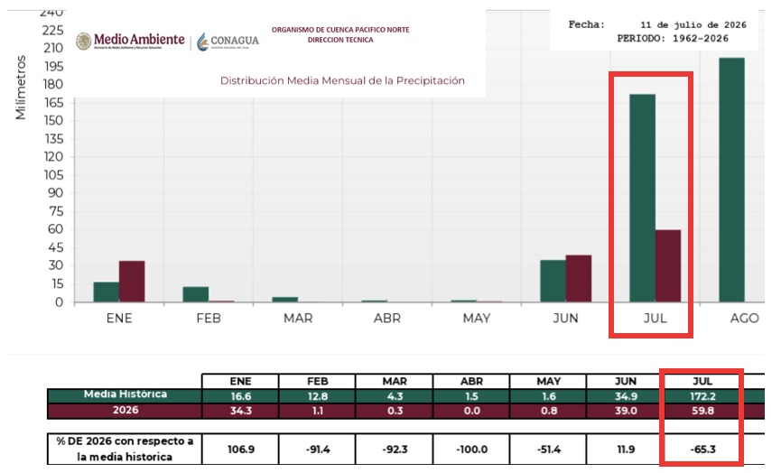 grafica de barras indicando la Distribución media mensual de precipitación