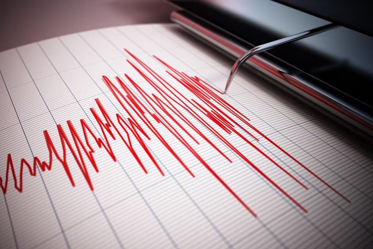 sismo (2)