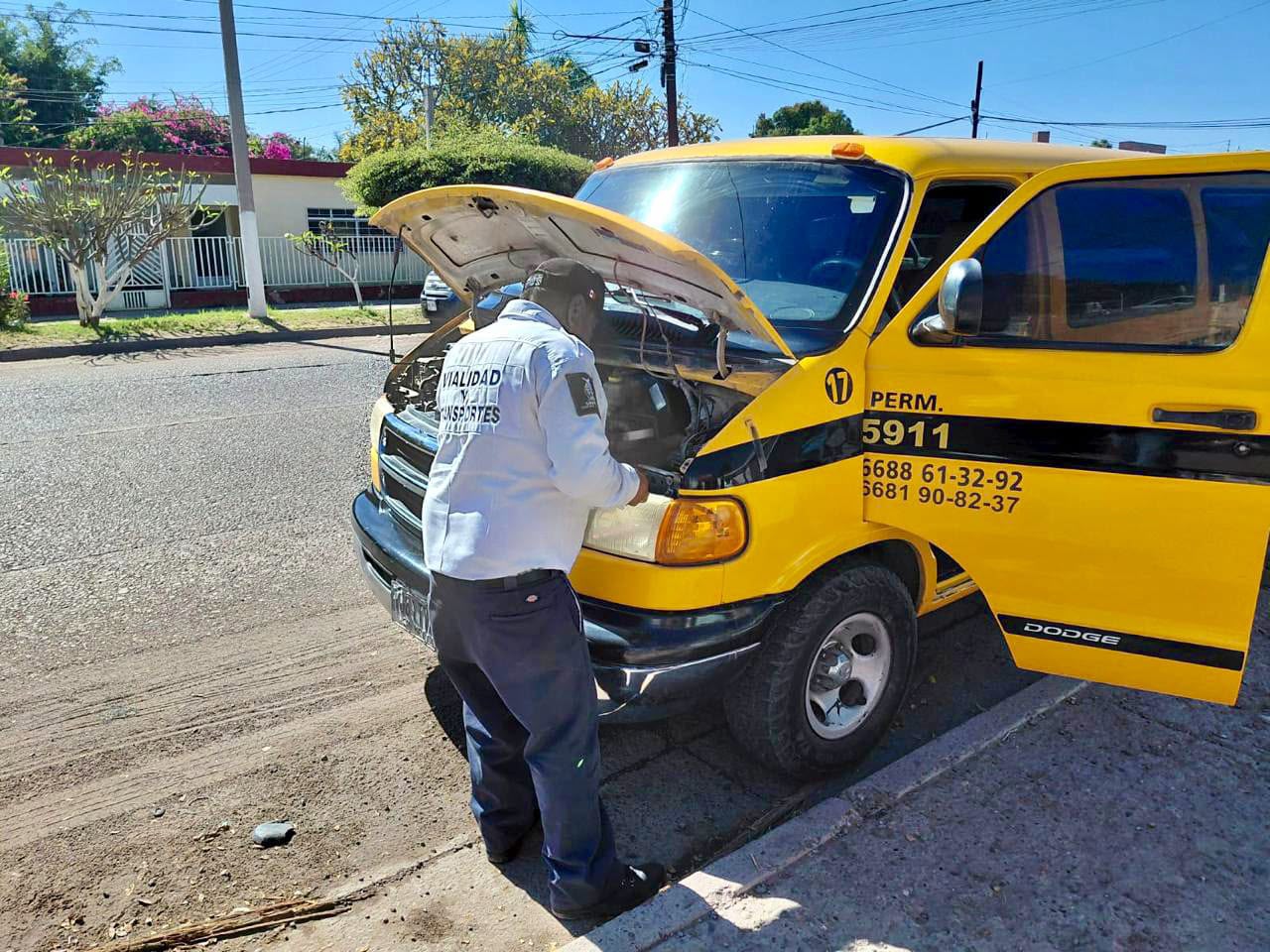 transporte escolar